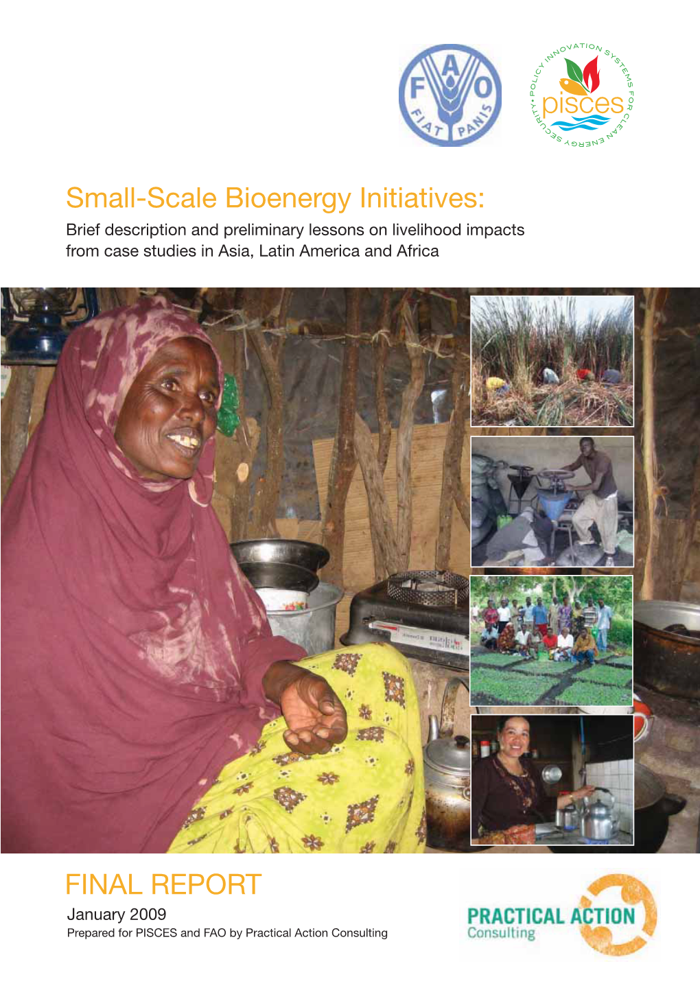 Small-Scale Bioenergy Initiatives: Brief Description and Preliminary Lessons on Livelihood Impacts from Case Studies in Asia, Latin America and Africa