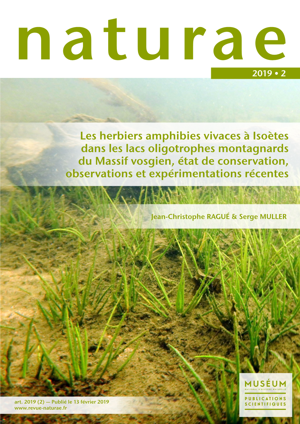 Les Herbiers Amphibies Vivaces À Isoètes Dans Les Lacs Oligotrophes Montagnards Du Massif Vosgien, État De Conservation, Observations Et Expérimentations Récentes