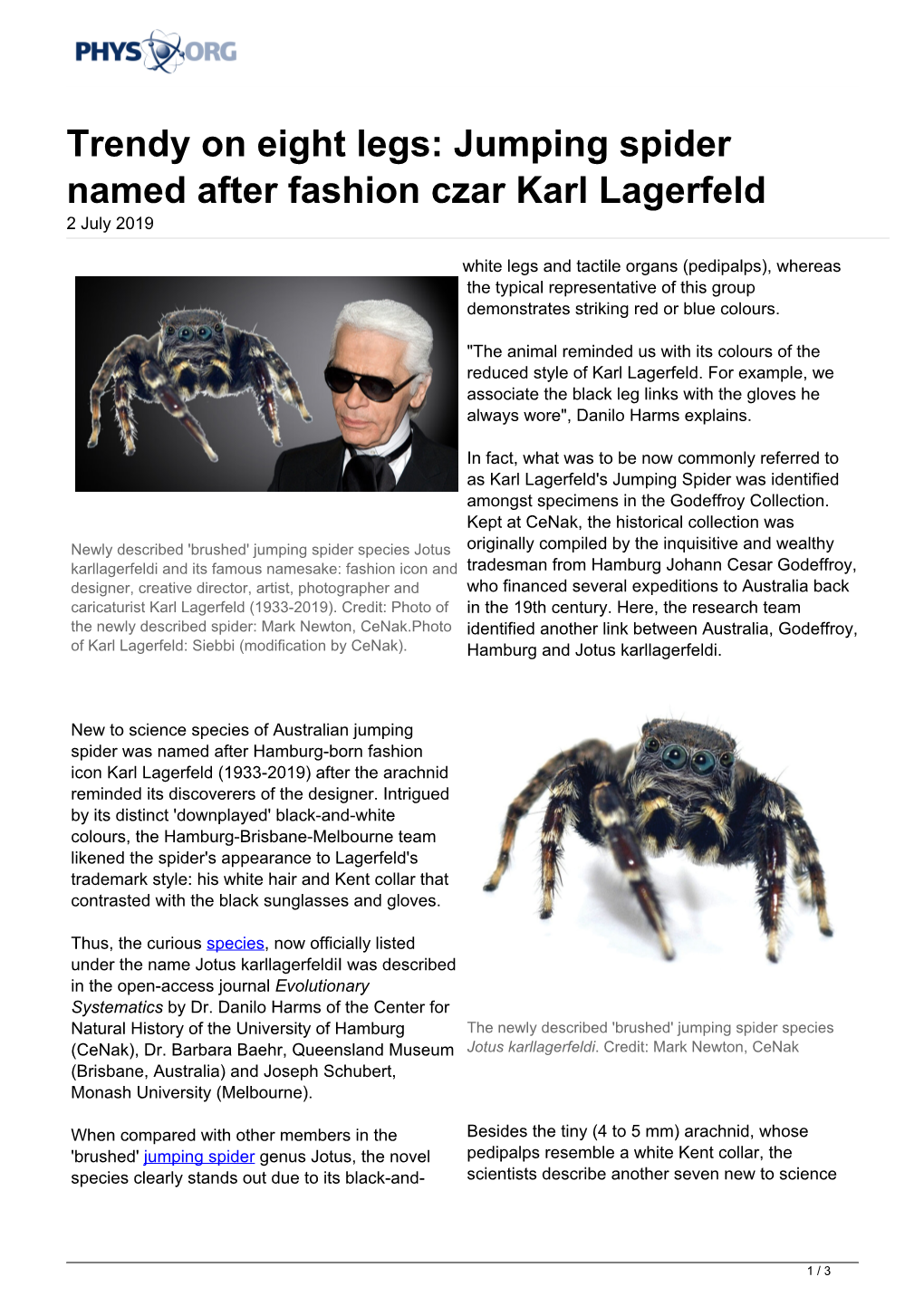 Trendy on Eight Legs: Jumping Spider Named After Fashion Czar Karl Lagerfeld 2 July 2019