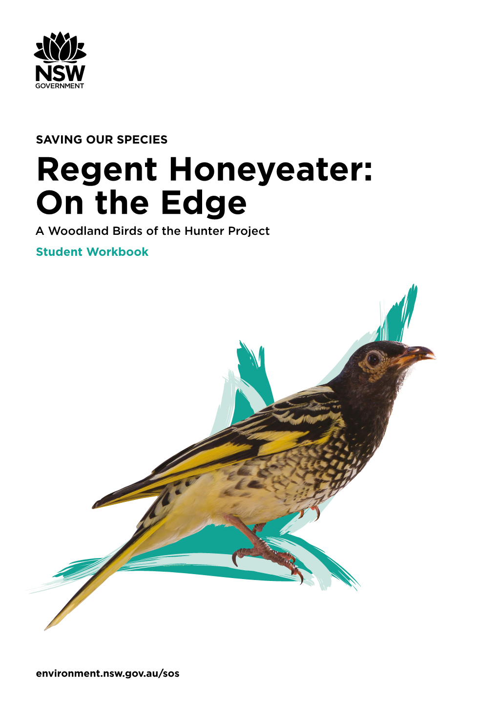 Regent Honeyeater: on the Edge a Woodland Birds of the Hunter Project Student Workbook