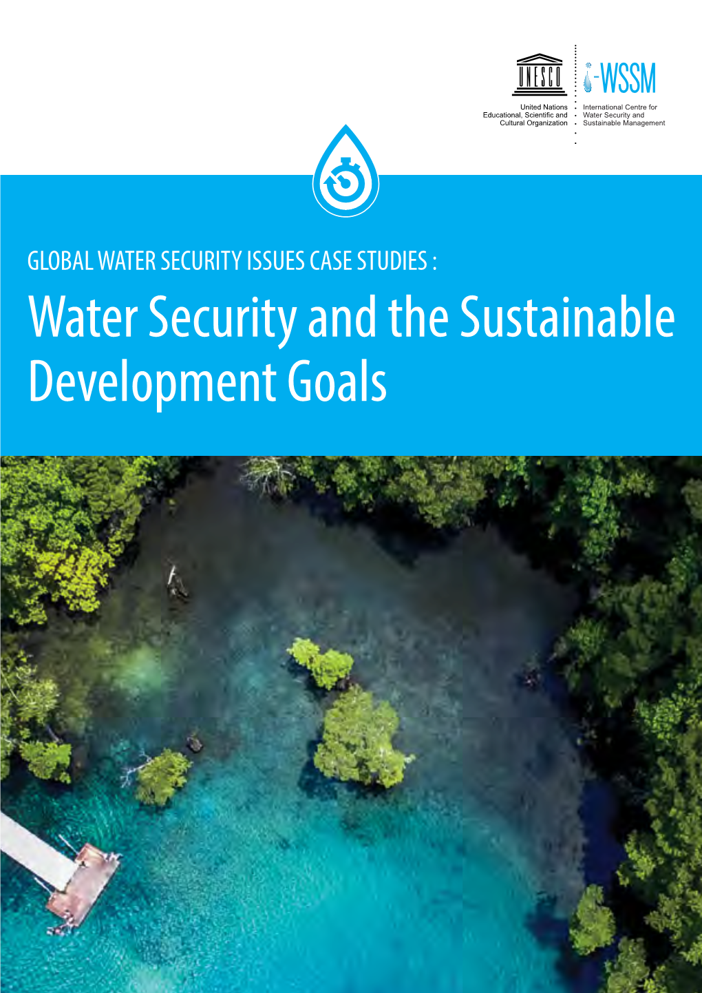 Water Security and the Sustainable Development Goals