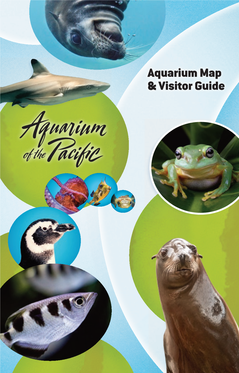 Aquarium Map & Visitor Guide