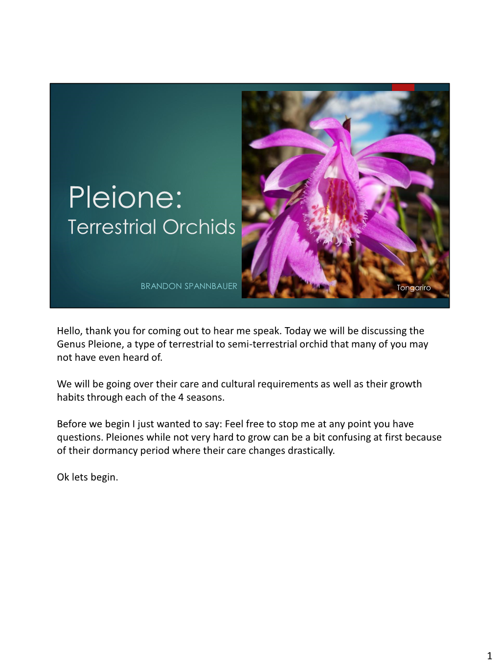 Pleione: Terrestrial Orchids