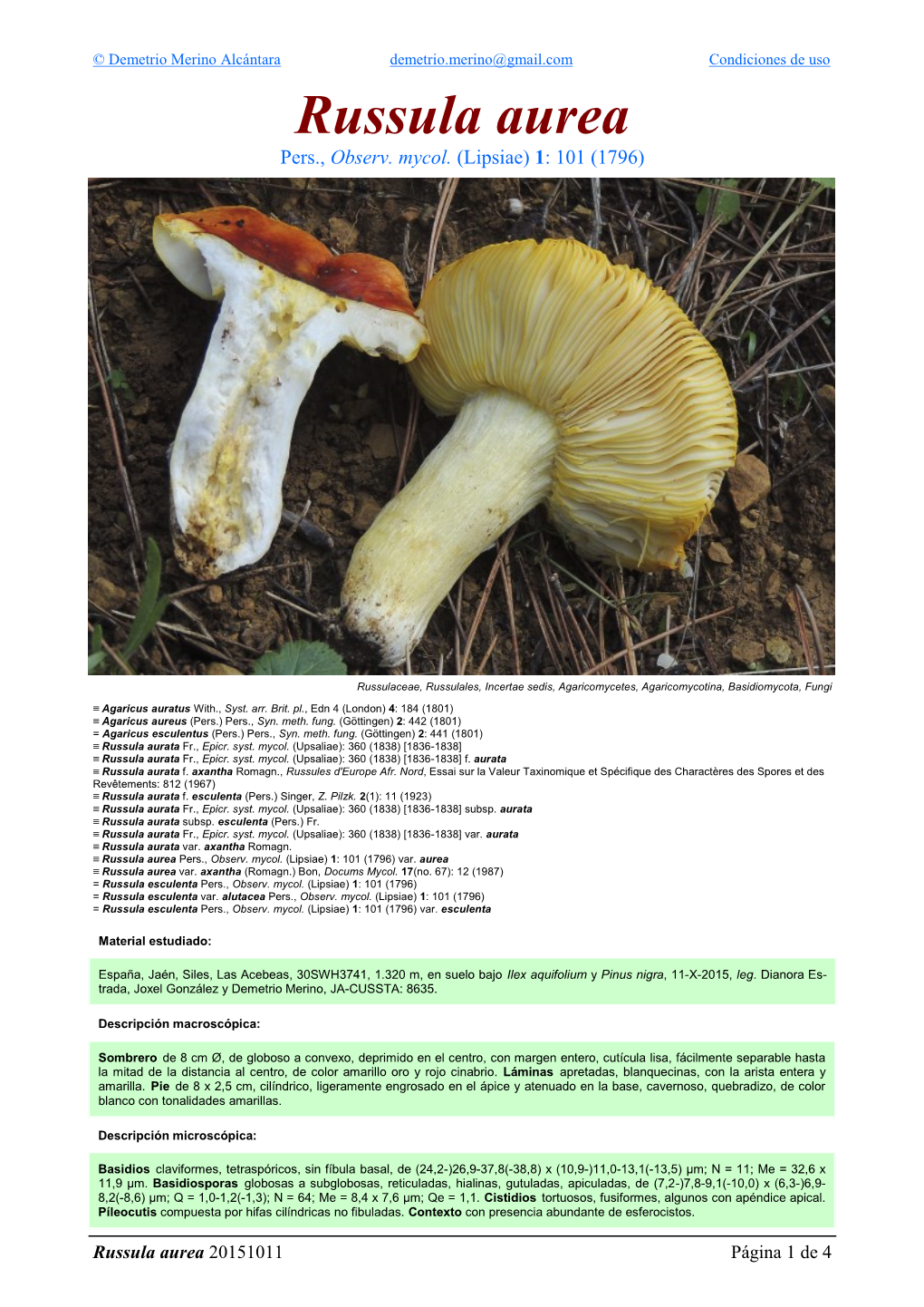 Russula Aurea Aurea Russula 4 De 1 Página 20151011