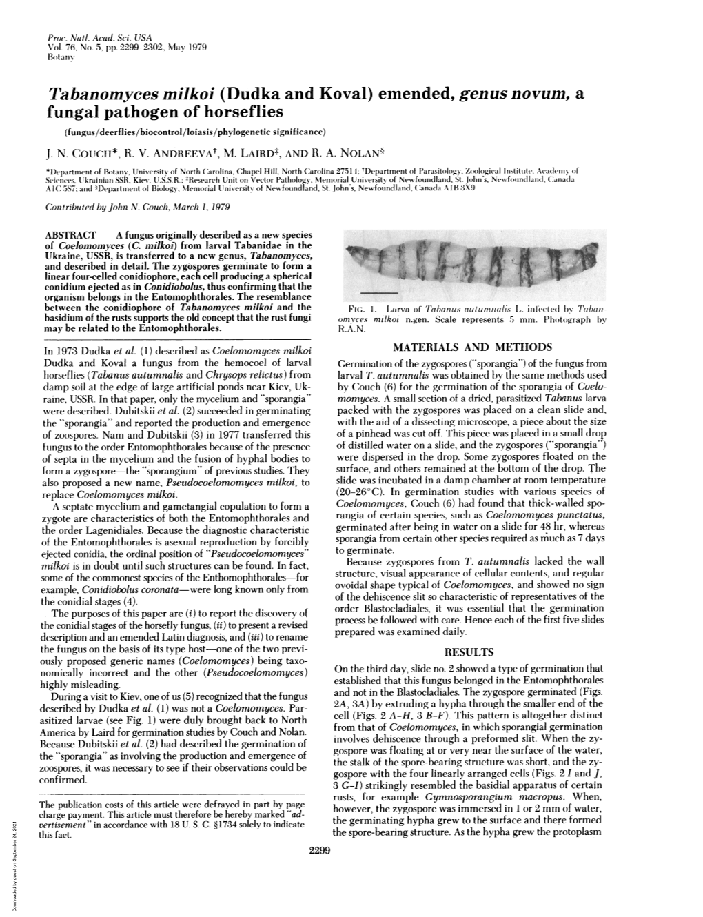 Fungal Pathogen of Horseflies (Fungus/Deerflies/Biocontrol/Loiasis/Phylogenetic Significance) J