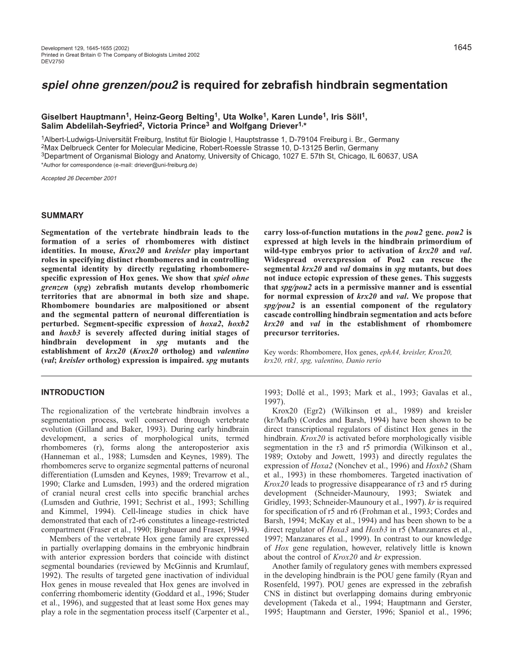 Spg/Pou2 and Hindbrain Segmentation 1647