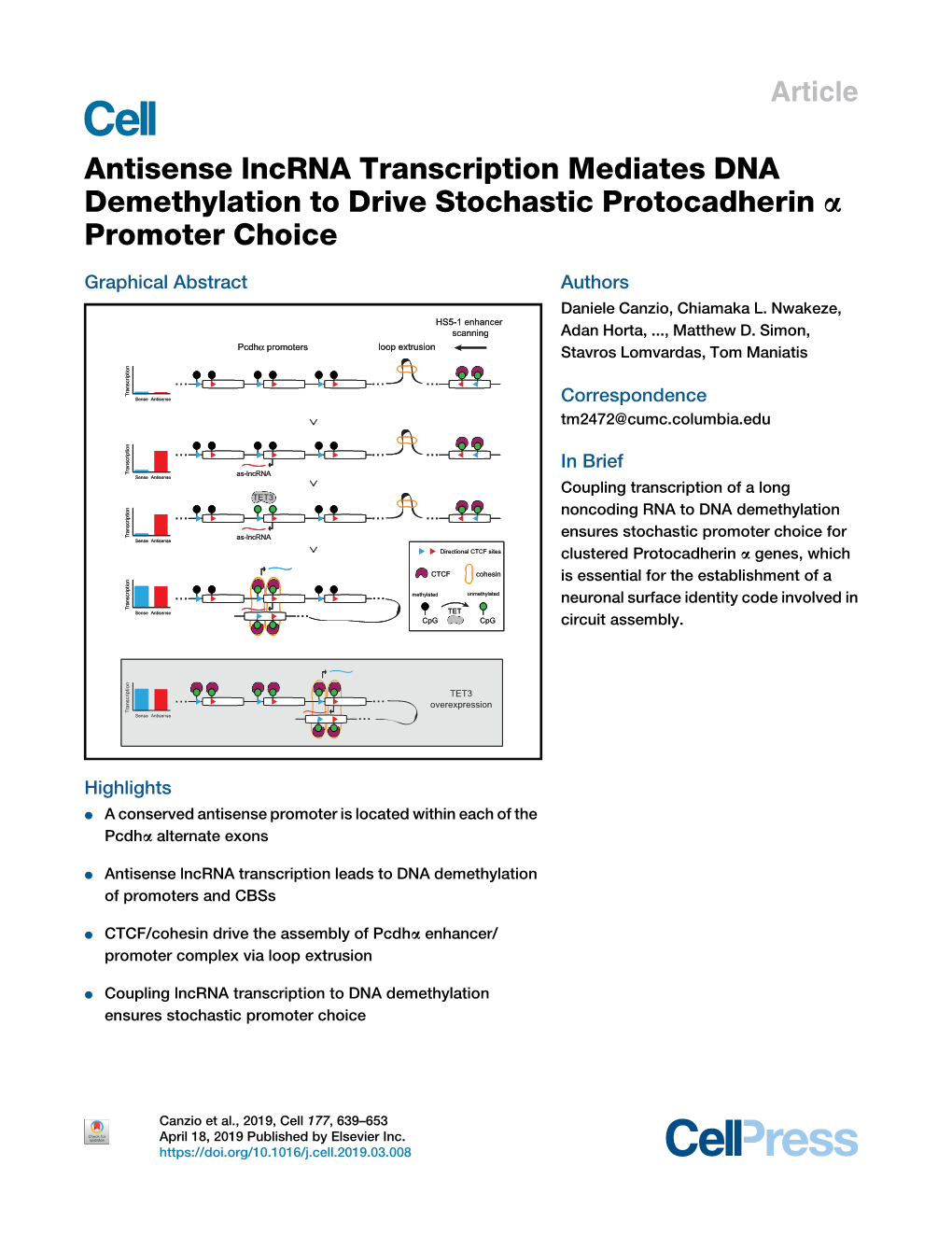 Antisense Lncrna Transcription Mediates DNA Demethylation to Drive Stochastic Protocadherin a Promoter Choice