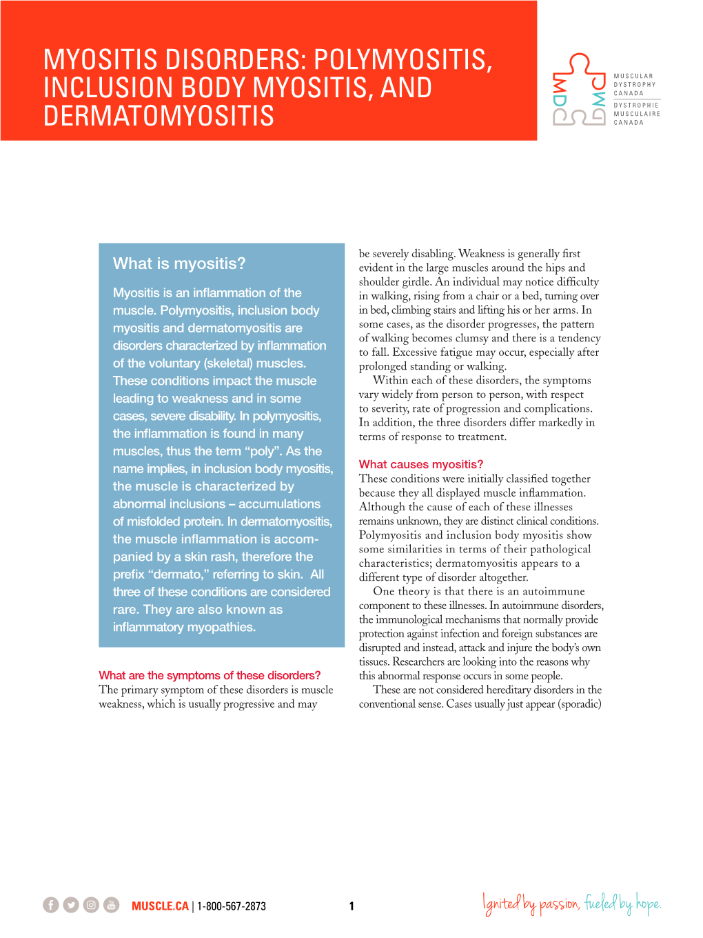 POLYMYOSITIS, INCLUSION BODY MYOSITIS, and DERMATOMYOSITIS Myositis Disorders: Polymyositis, Inclusion Body Myositis, and Dermatomyositis