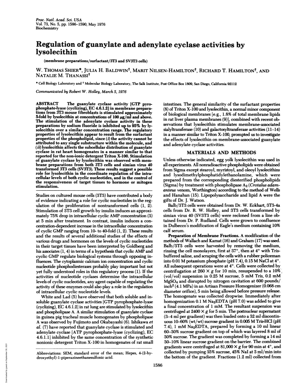 Regulation of Guanylate and Adenylate Cyclase Activities by Lysolecithin (Membrane Preparations/Surfactant/3T3 and SV3T3 Cells) W