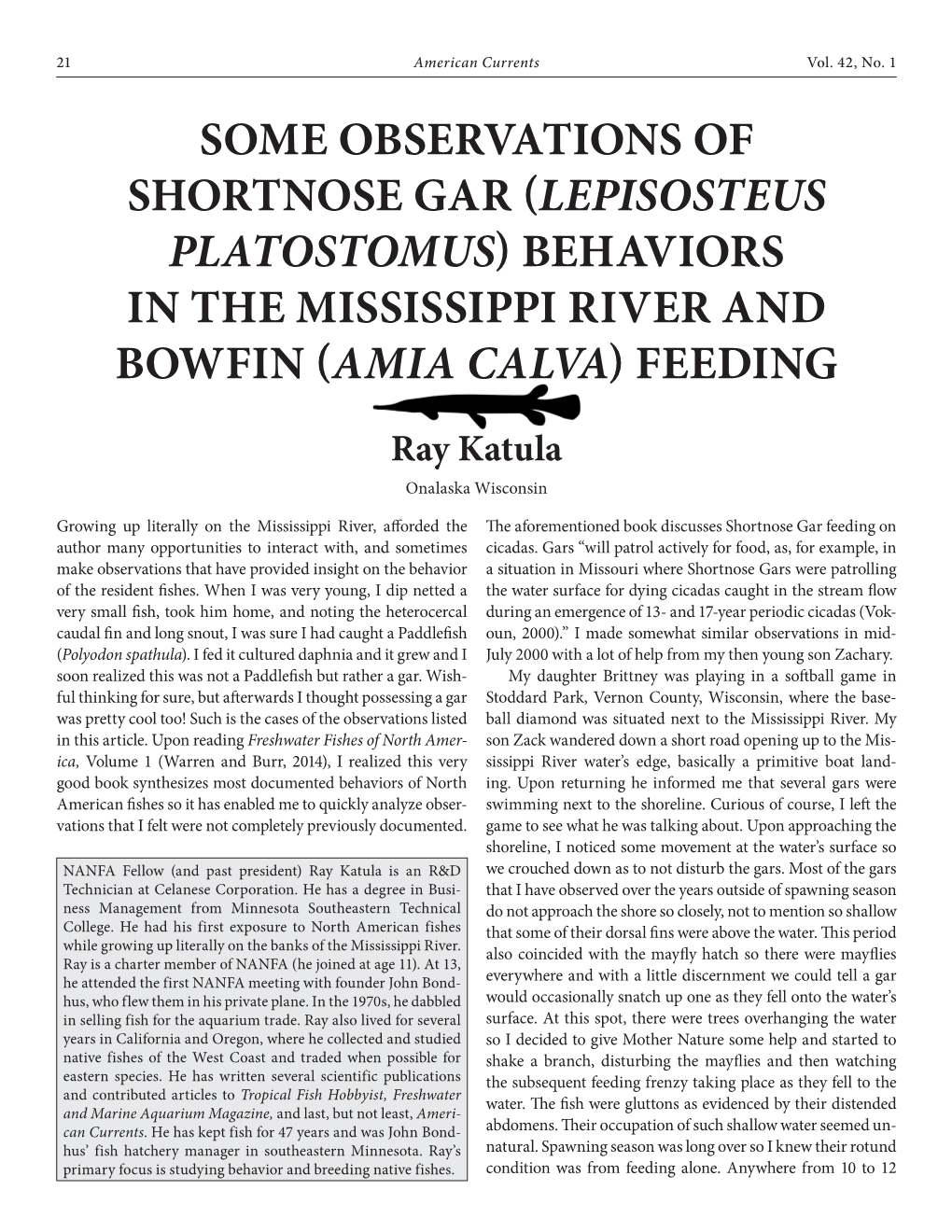 Some Observations of Shortnose Gar (Lepisosteus Platostomus) Behaviors in the Mississippi River and Bowfin (Amia Calva) Feeding