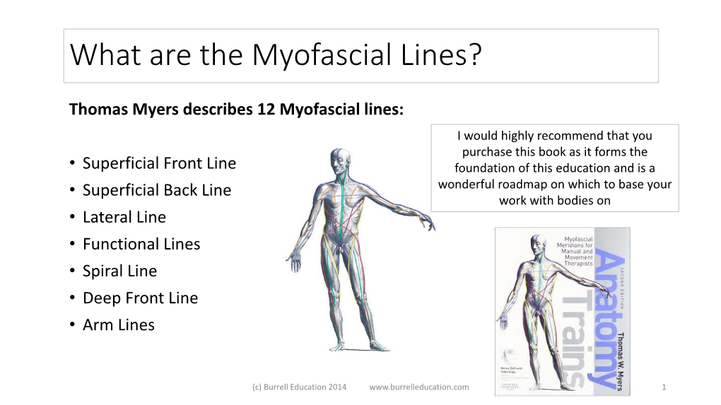 What Are the Myofascial Lines?