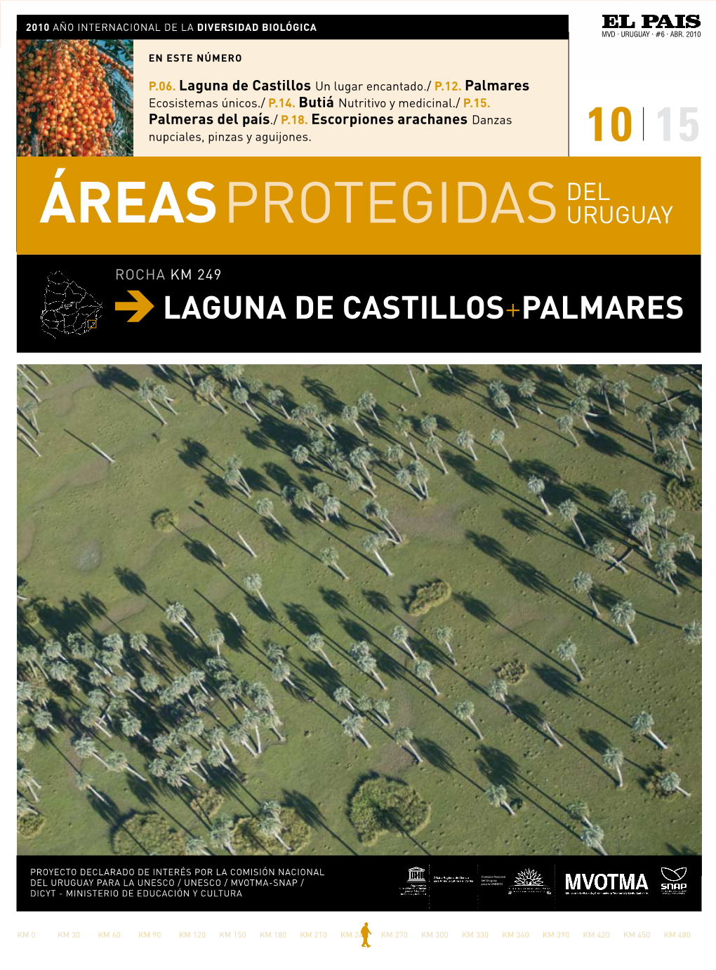 Laguna De Castillos Y Palmares De Rocha