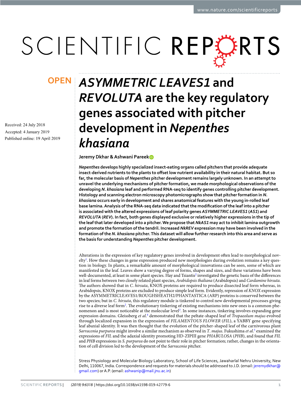 ASYMMETRIC LEAVES1 and REVOLUTA Are the Key Regulatory