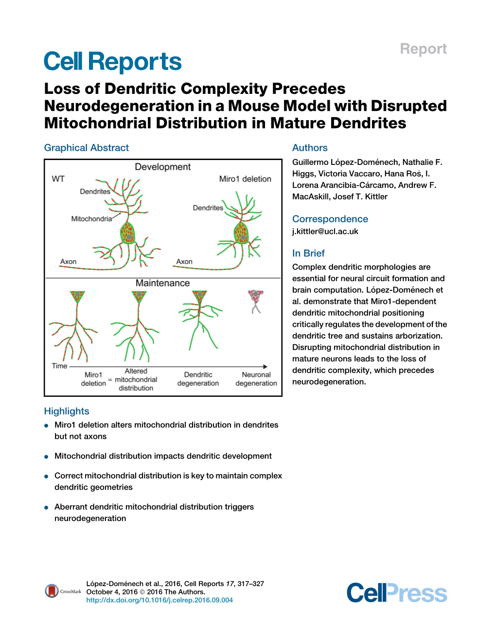 Loss of Dendritic Complexity Precedes Neurodegeneration in a Mouse Model with Disrupted Mitochondrial Distribution in Mature Dendrites