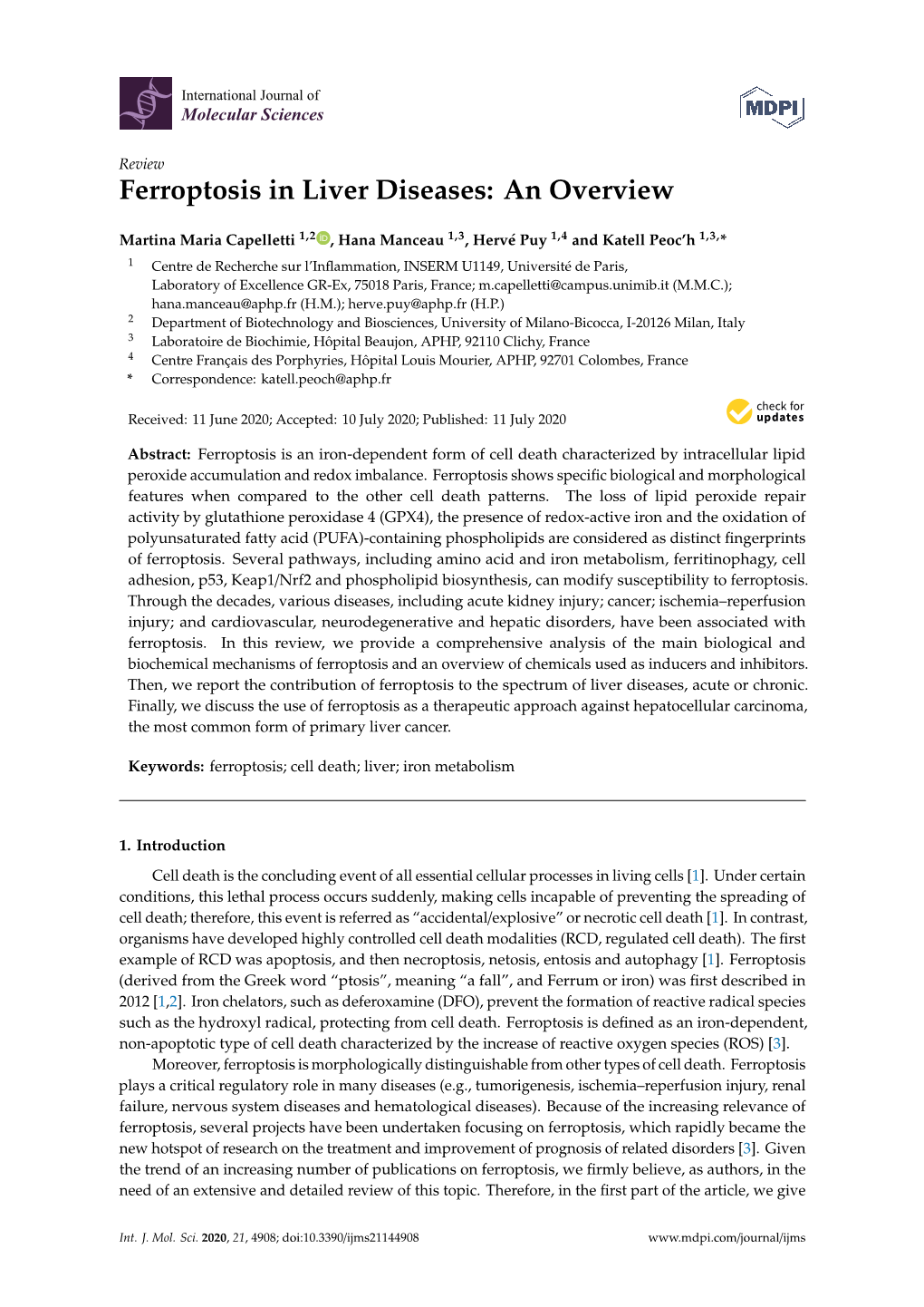 Ferroptosis in Liver Diseases: an Overview