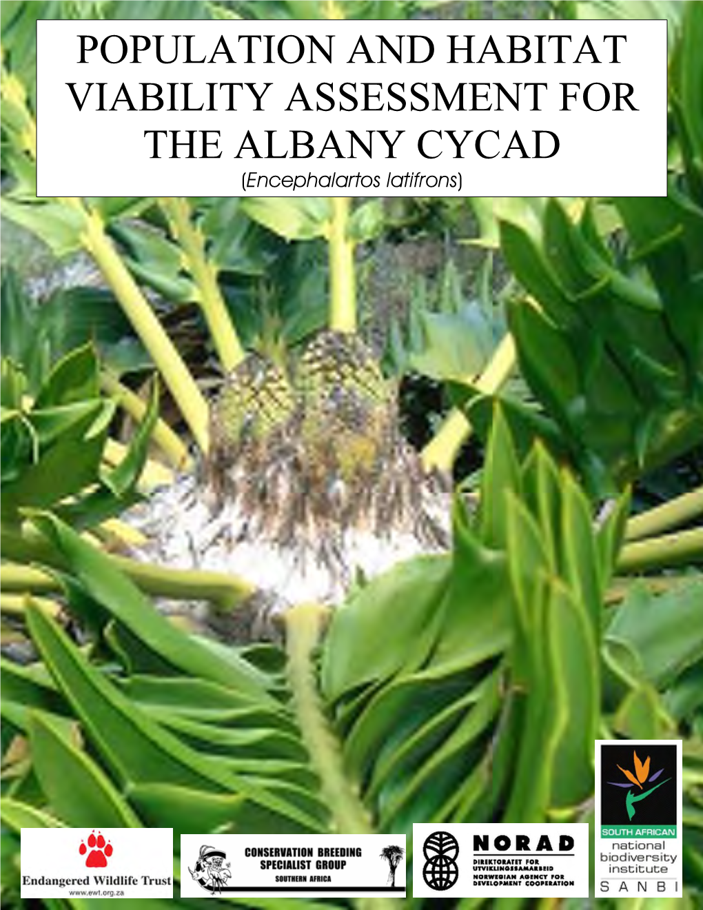 Albany Cycad PHVA Report.Pdf