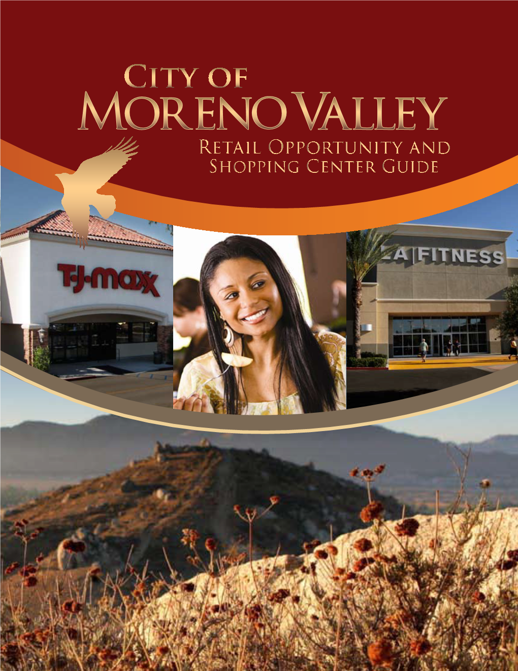 Moreno Valley Market Area Average Household
