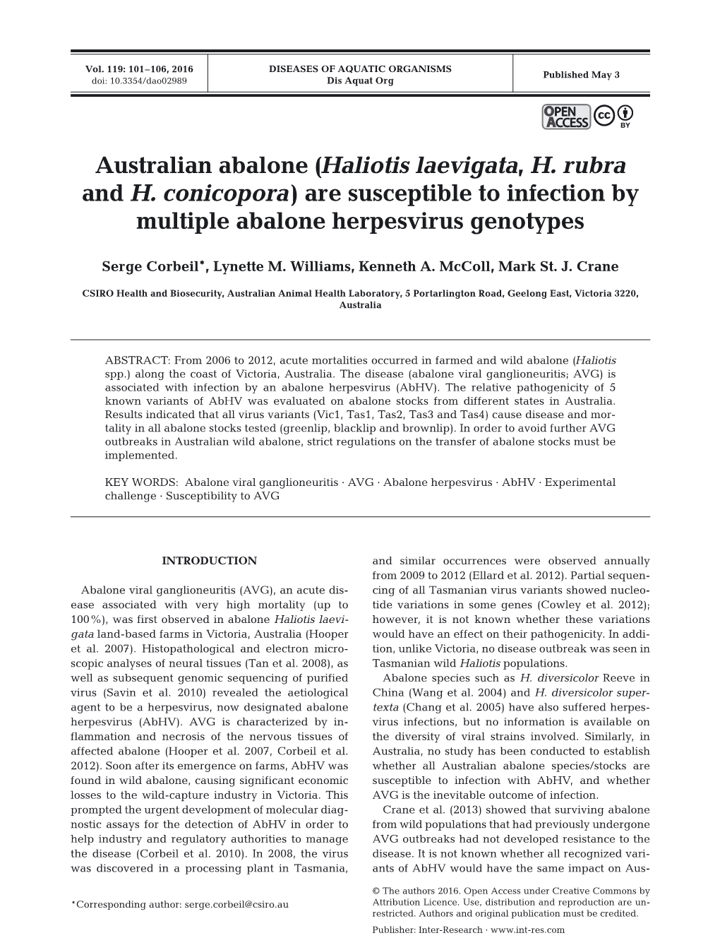 Australian Abalone (Haliotis Laevigata, H. Rubra and H