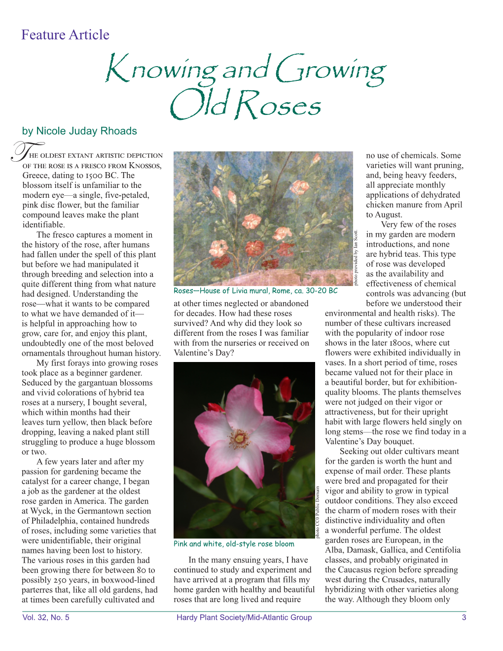 Knowing and Growing Old Roses by Nicole Juday Rhoads