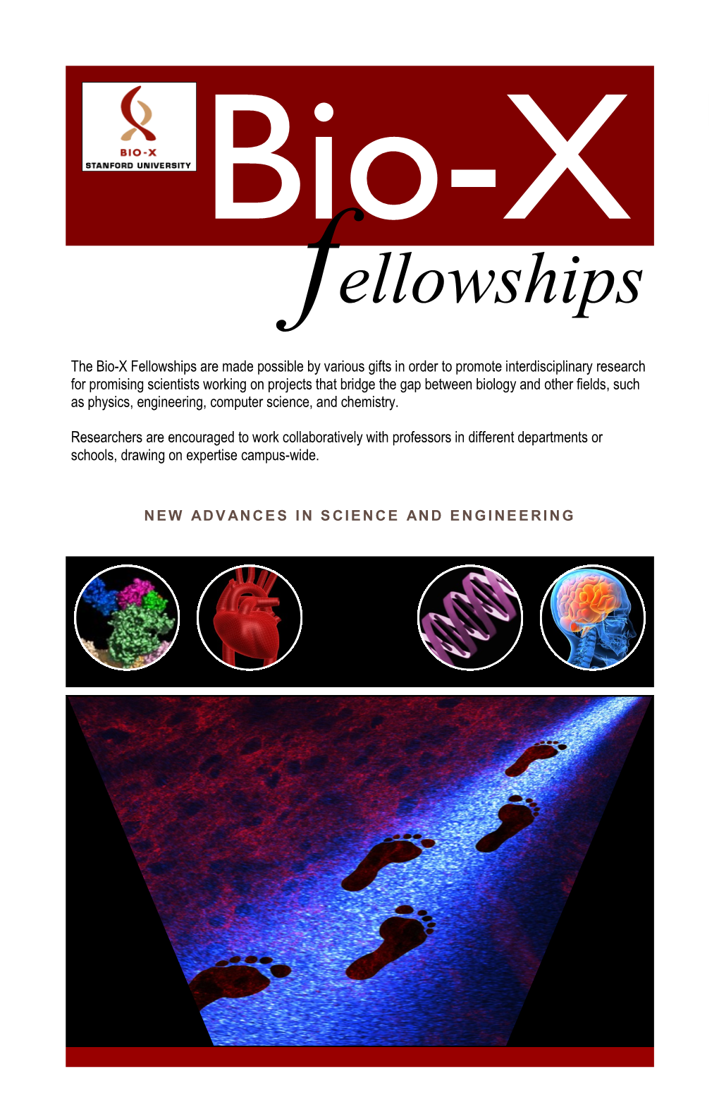 2009 Stanford Bio-X Fellowships