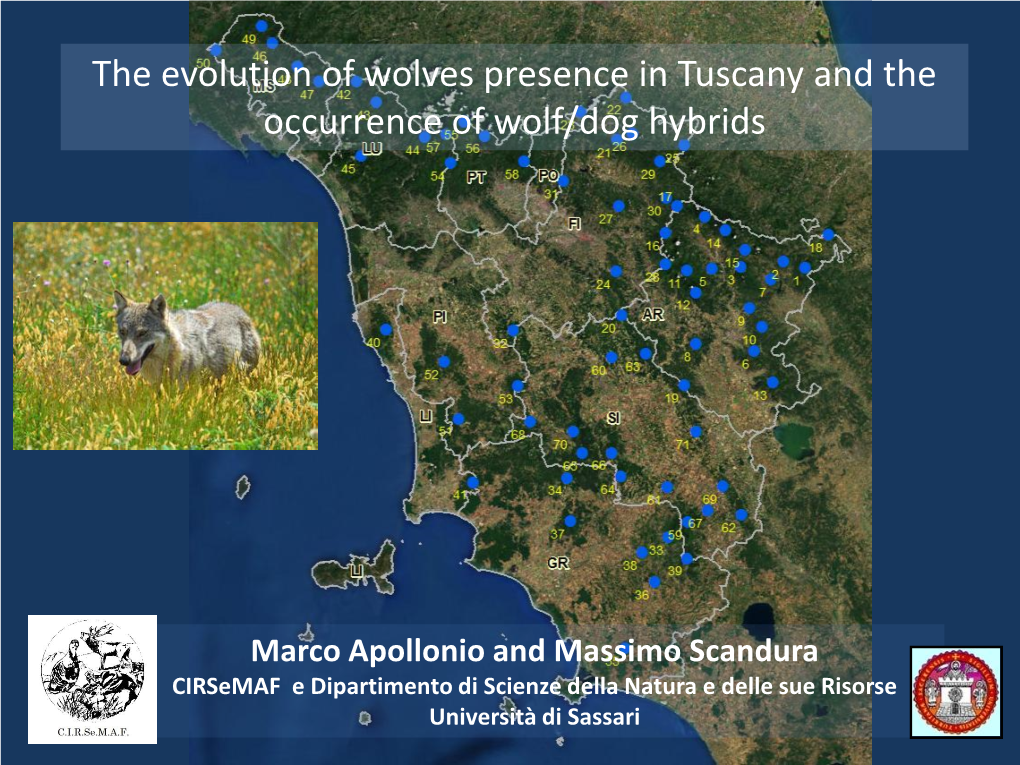 The Evolution of Wolves Presence in Tuscany and the Occurrence of Wolf/Dog Hybrids