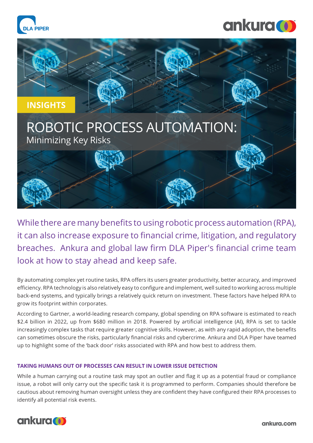 ROBOTIC PROCESS AUTOMATION: Minimizing Key Risks