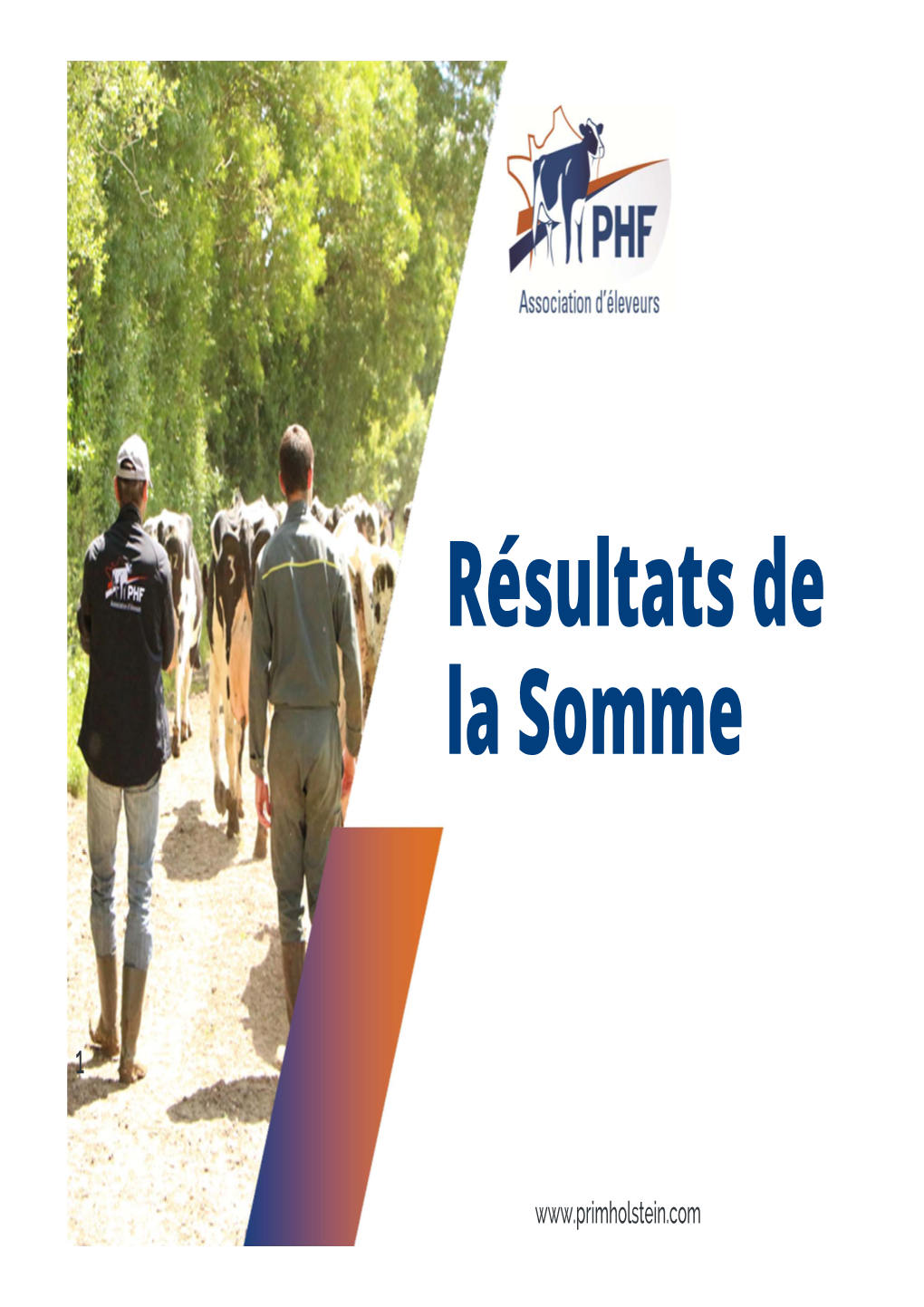 Résultats De La Somme