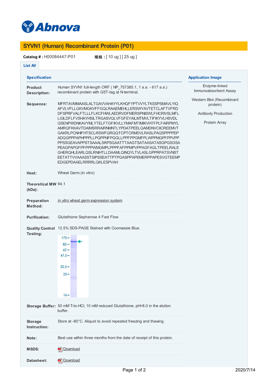 SYVN1 (Human) Recombinant Protein (P01)