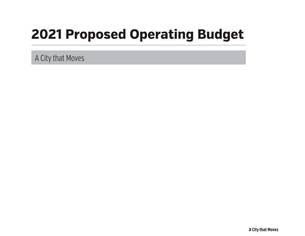 2021 Proposed Operating Budget