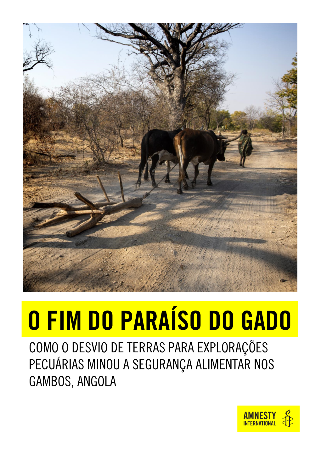 O Fim Do Paraíso Do Gado Como O Desvio De Terras Para Explorações Pecuárias Minou a Segurança Alimentar Nos Gambos, Angola