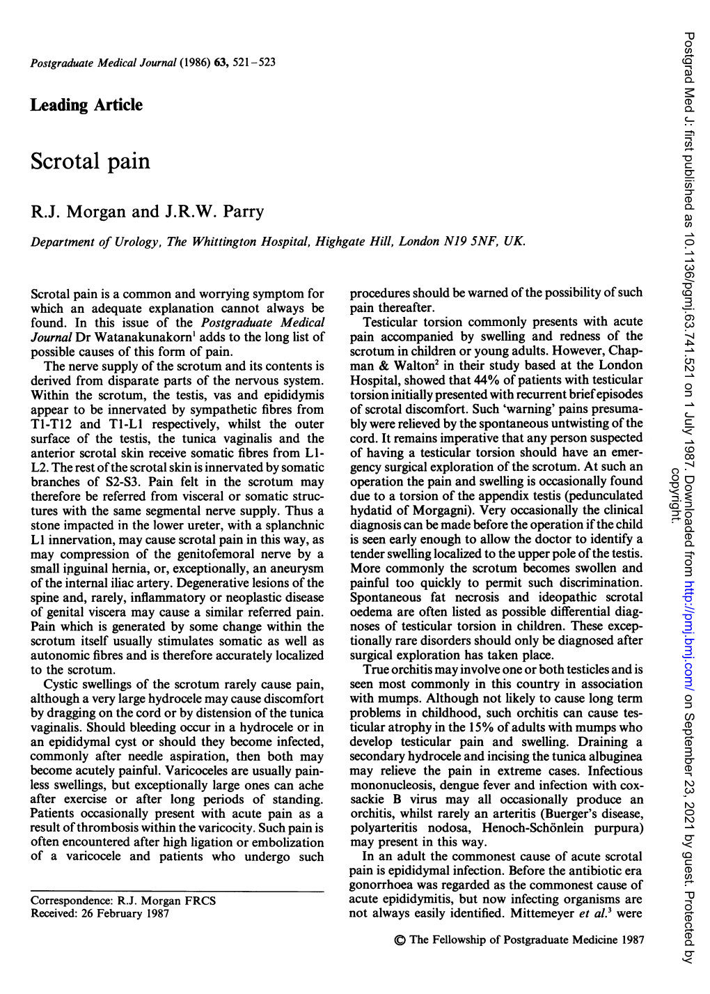 Scrotal Pain