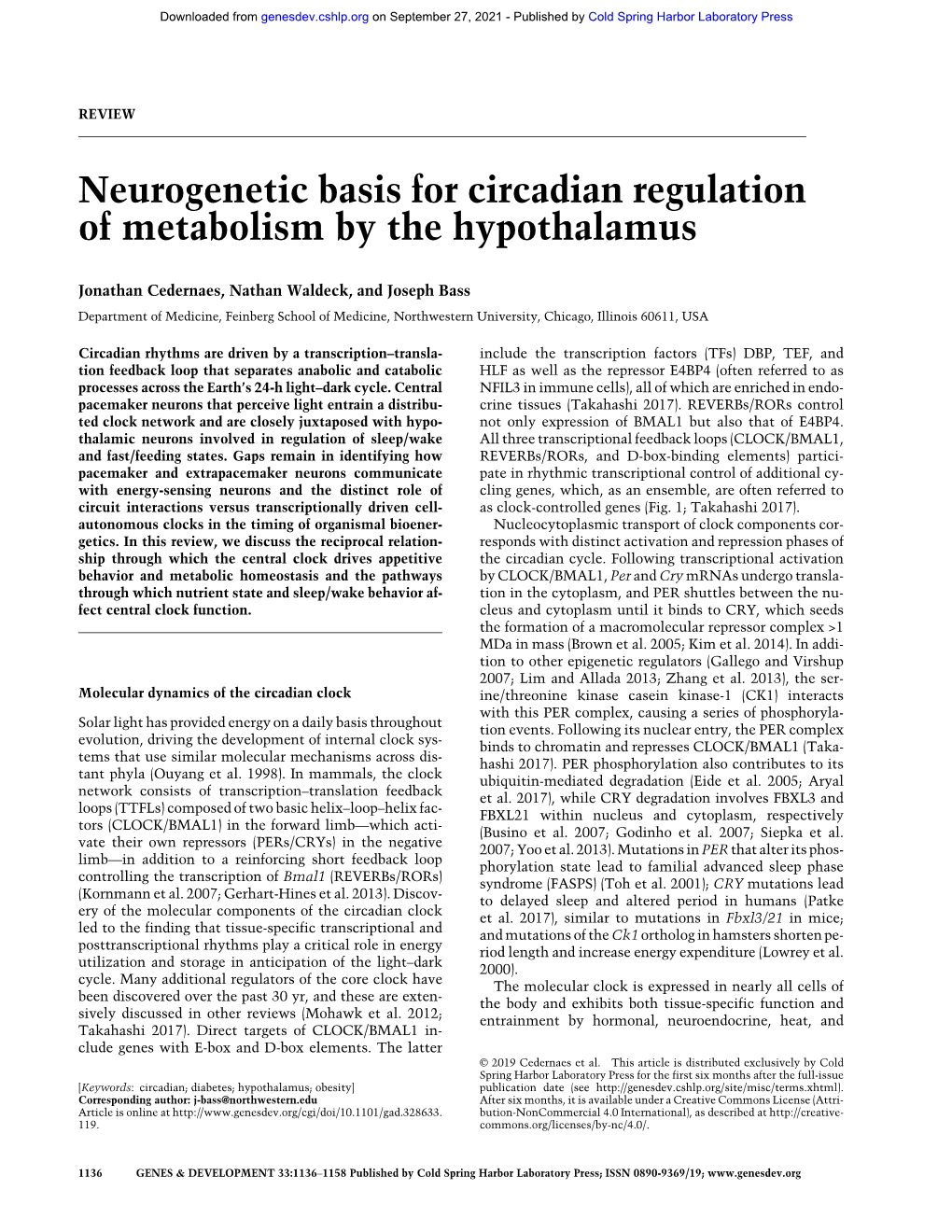 Neurogenetic Basis for Circadian Regulation of Metabolism by the Hypothalamus