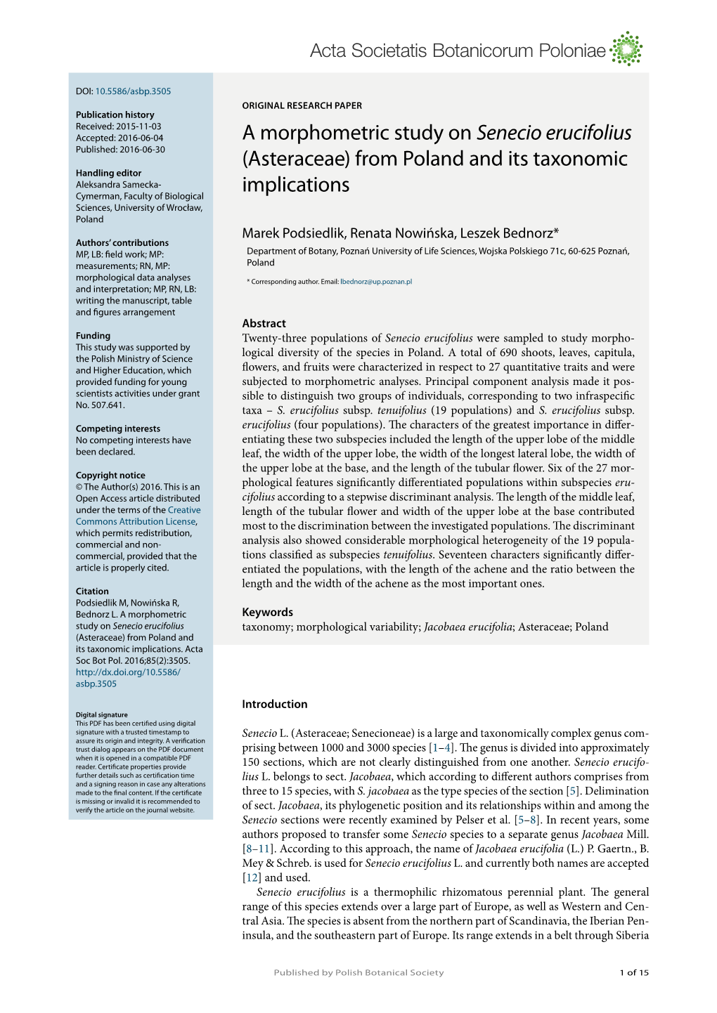 A Morphometric Study on Senecio Erucifolius