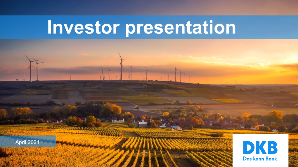 PDF Investors Presentation