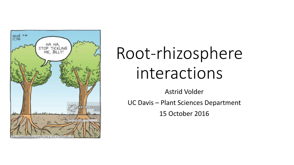 Root-Rhizosphere Interactions Astrid Volder UC Davis – Plant Sciences Department 15 October 2016 Rhizosphere