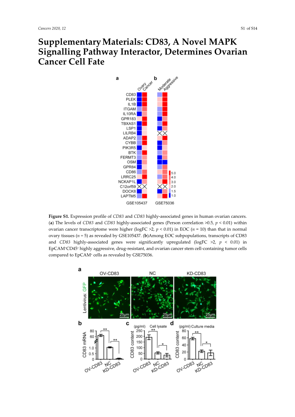 Type of the Paper (Article