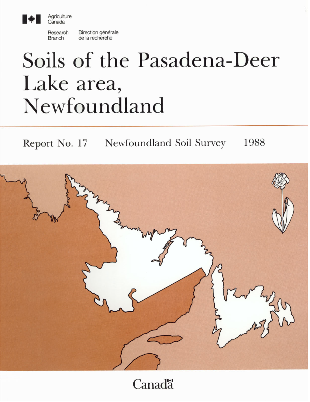 Soils of the Pasadena-Deer Lake Area, Newfoundland