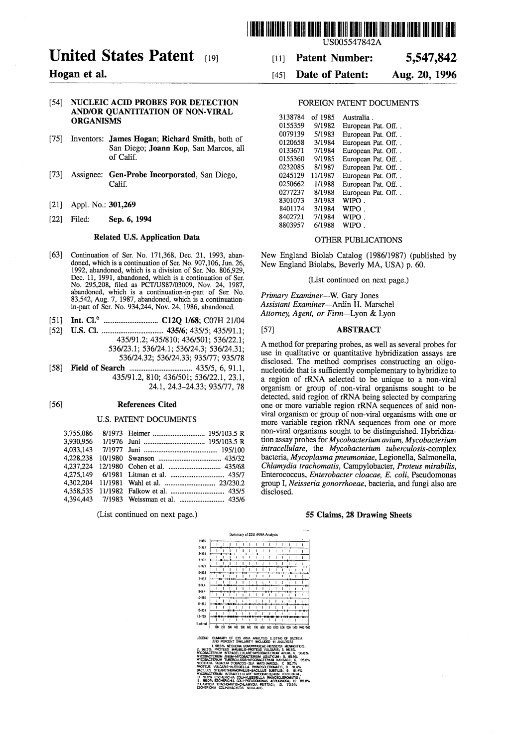 ||||||||III US005547842A United States Patent (19) 11 Patent Number: 5,547,842 Hogan Et Al