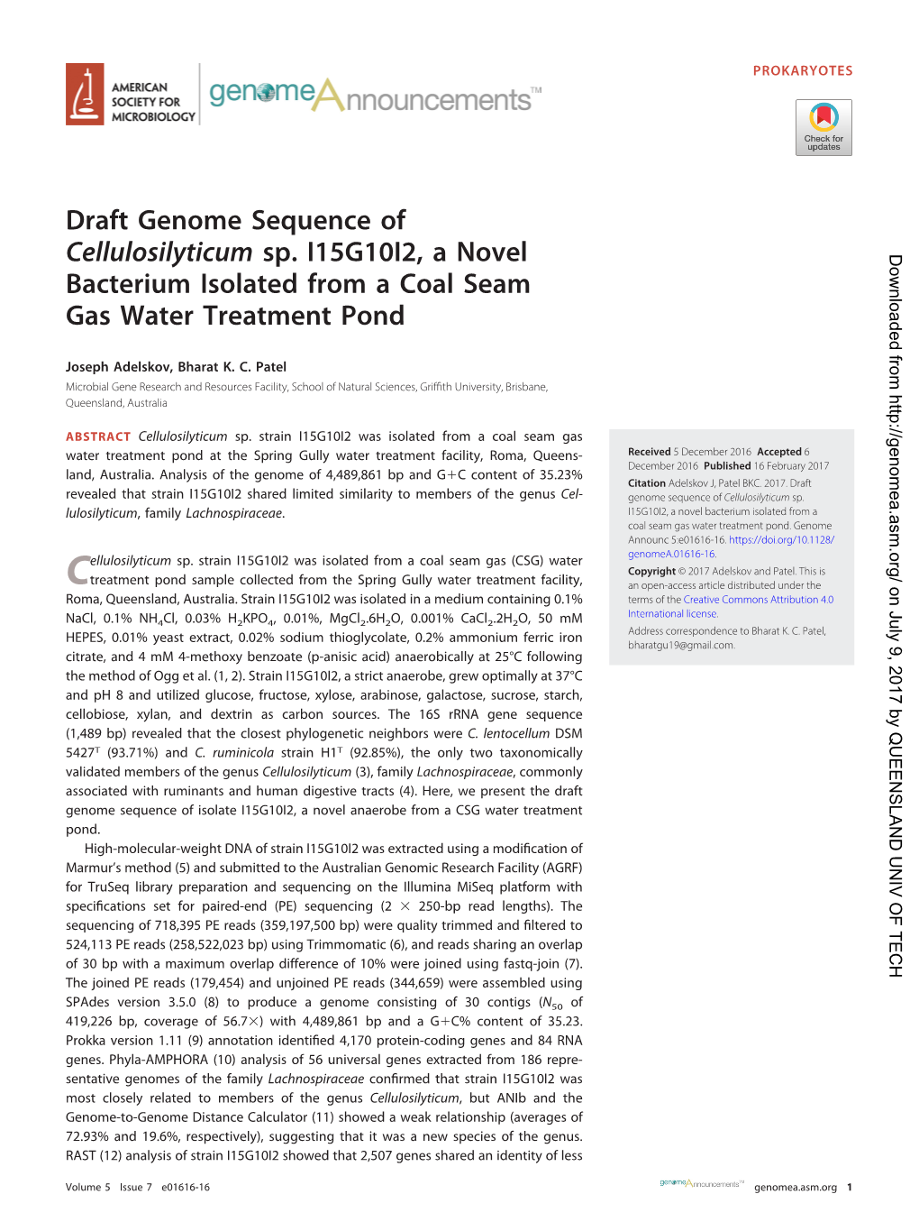 Draft Genome Sequence of Cellulosilyticum Sp