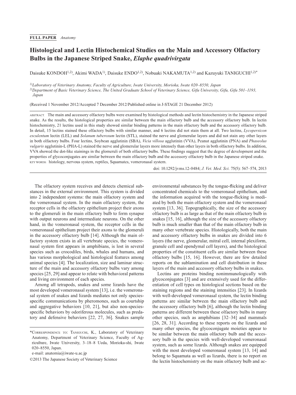 Histological and Lectin Histochemical Studies on the Main and Accessory Olfactory Bulbs in the Japanese Striped Snake, Elaphe Quadrivirgata