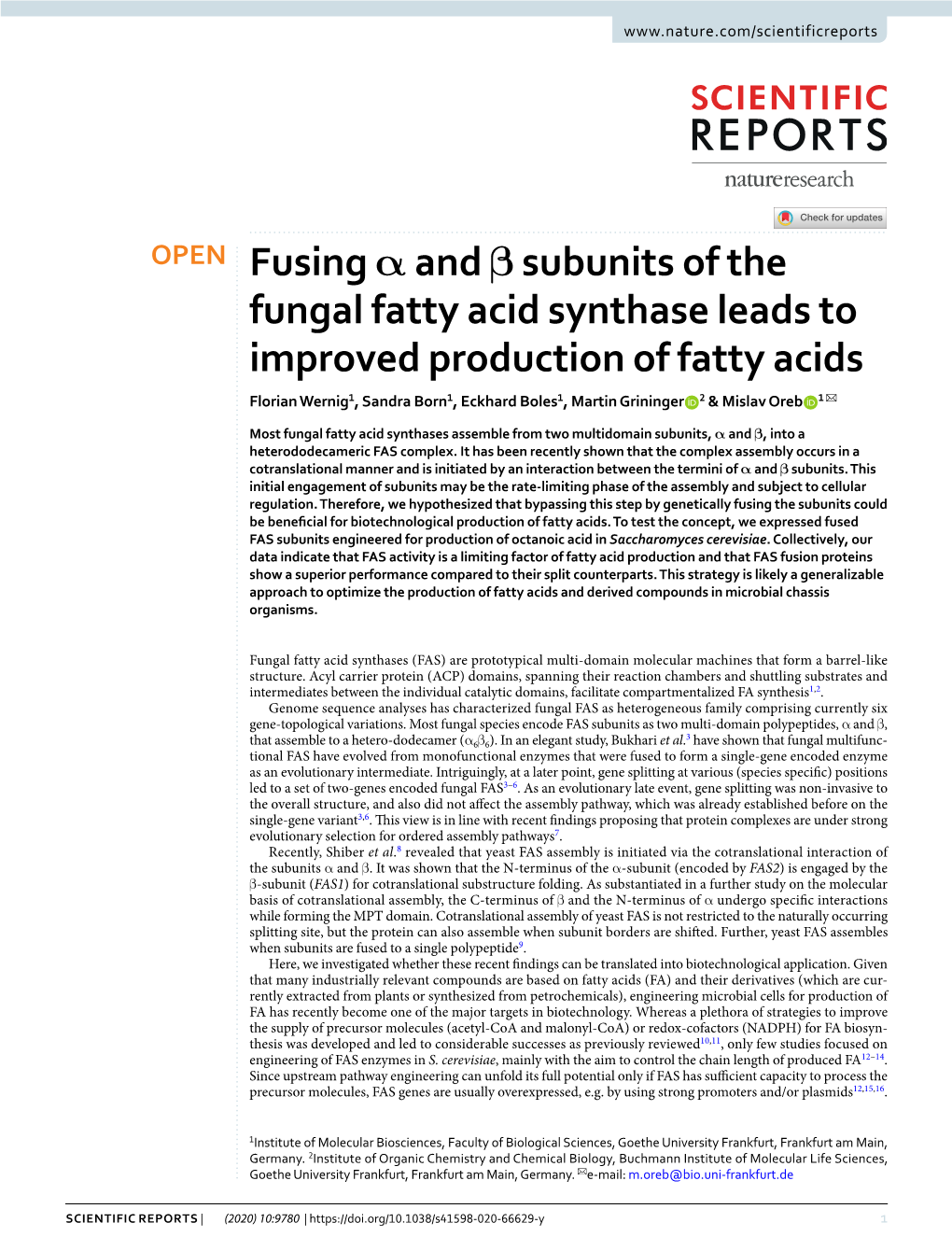 Fusing Α and Β Subunits of the Fungal Fatty Acid Synthase Leads To