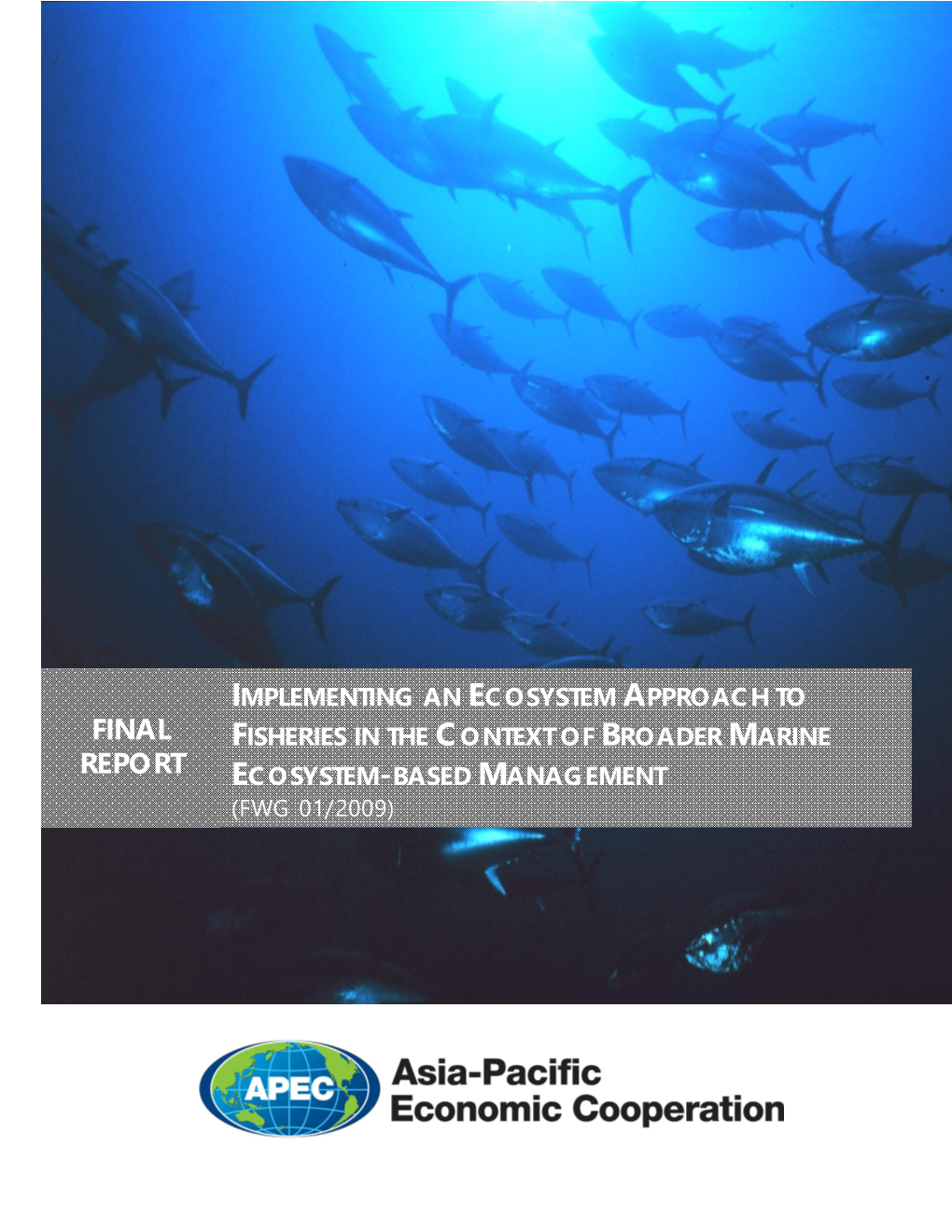 Implementing an Ecosystem Approach to Fisheries in the Context of Broader Marine Ecosystem-Based Ma Na Gement (FWG 01/2009) June 2010