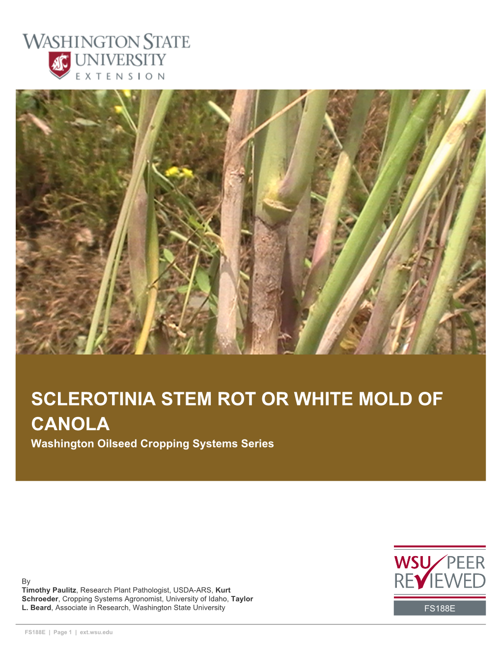 SCLEROTINIA STEM ROT OR WHITE MOLD of CANOLA Washington Oilseed Cropping Systems Series