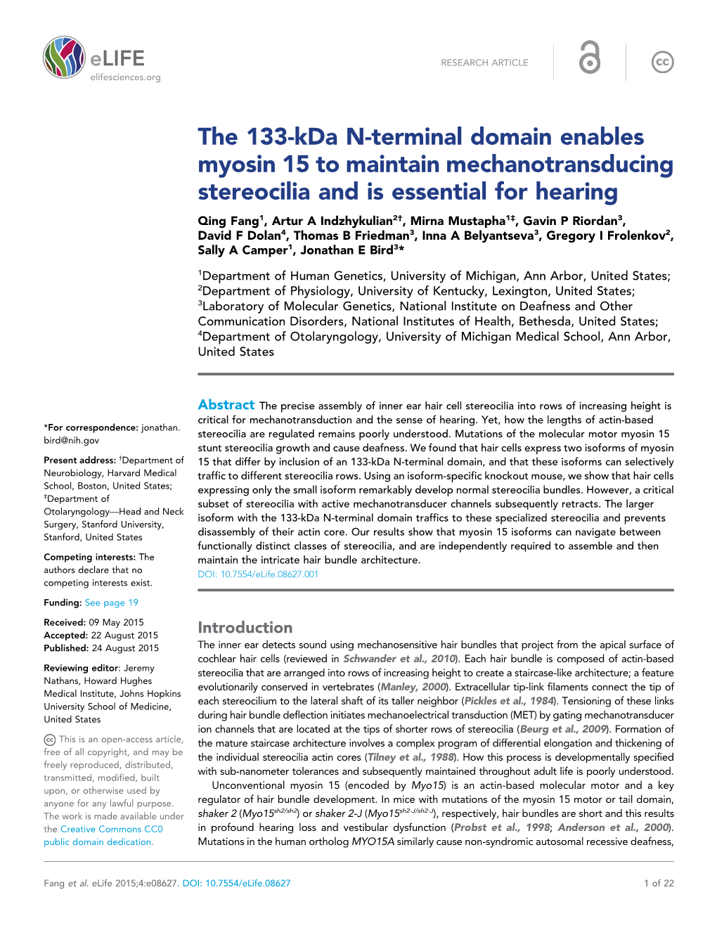 The 133-Kda N-Terminal Domain Enables Myosin 15 to Maintain