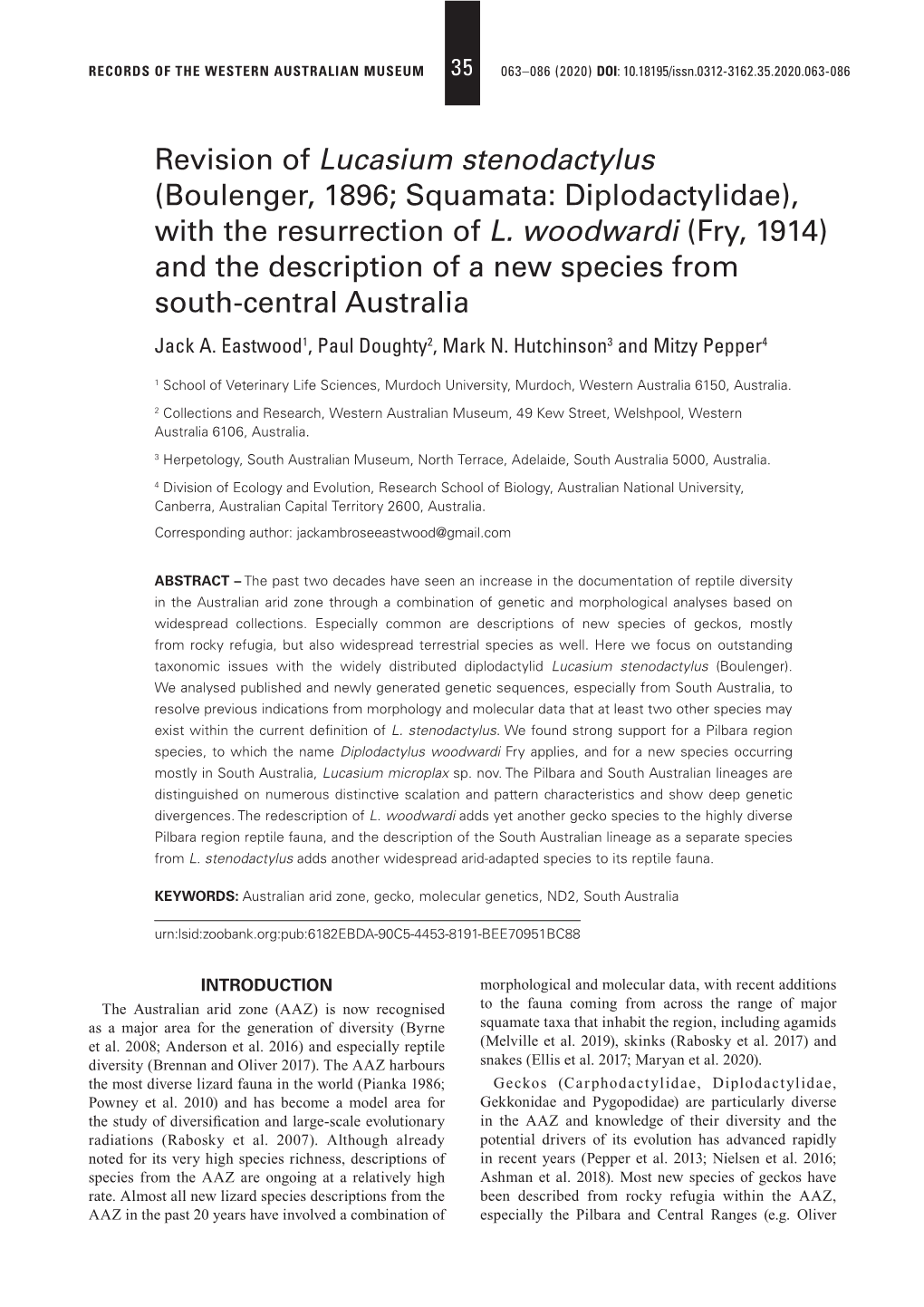 Revision of Lucasium Stenodactylus (Boulenger, 1896; Squamata: Diplodactylidae), with the Resurrection of L