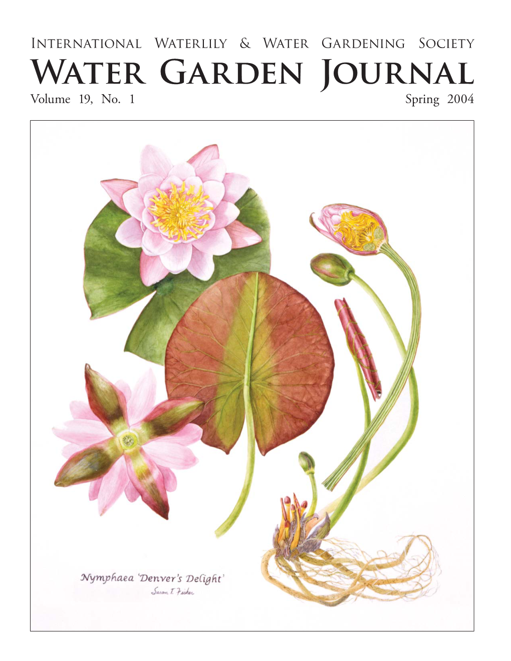 International Waterlily & Water Gardening Society