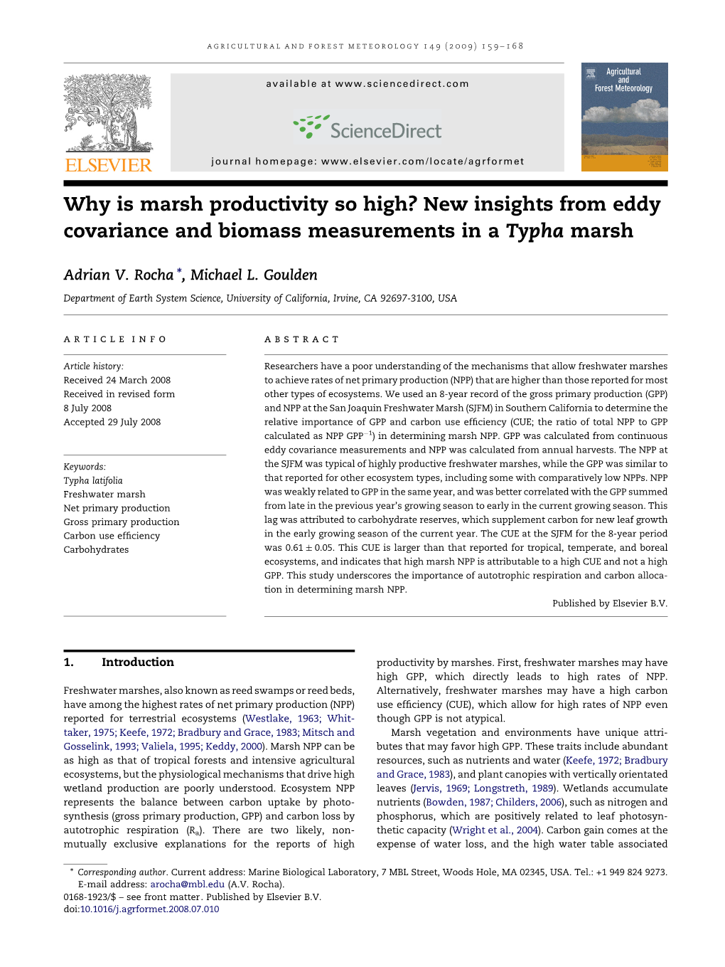 Why Is Marsh Productivity So High? New Insights from Eddy Covariance and Biomass Measurements in a Typha Marsh