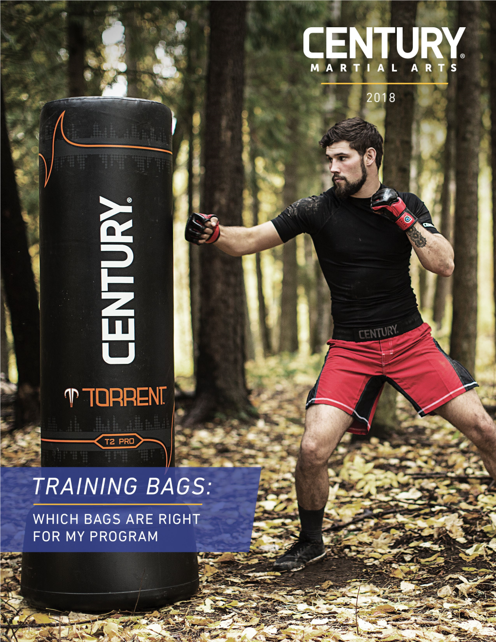 Training Bags Which Bags Are Best for My Program?