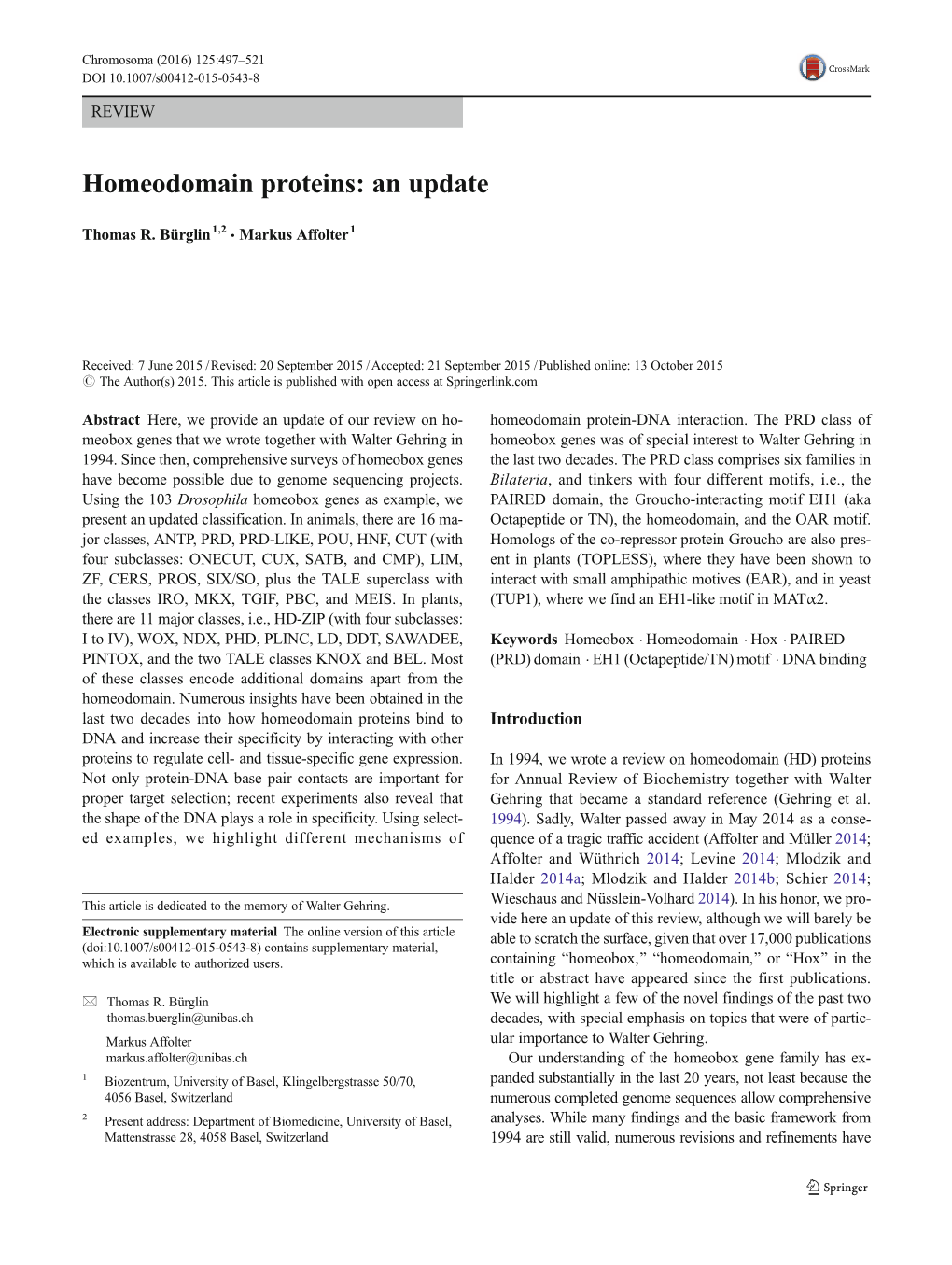 Homeodomain Proteins: an Update