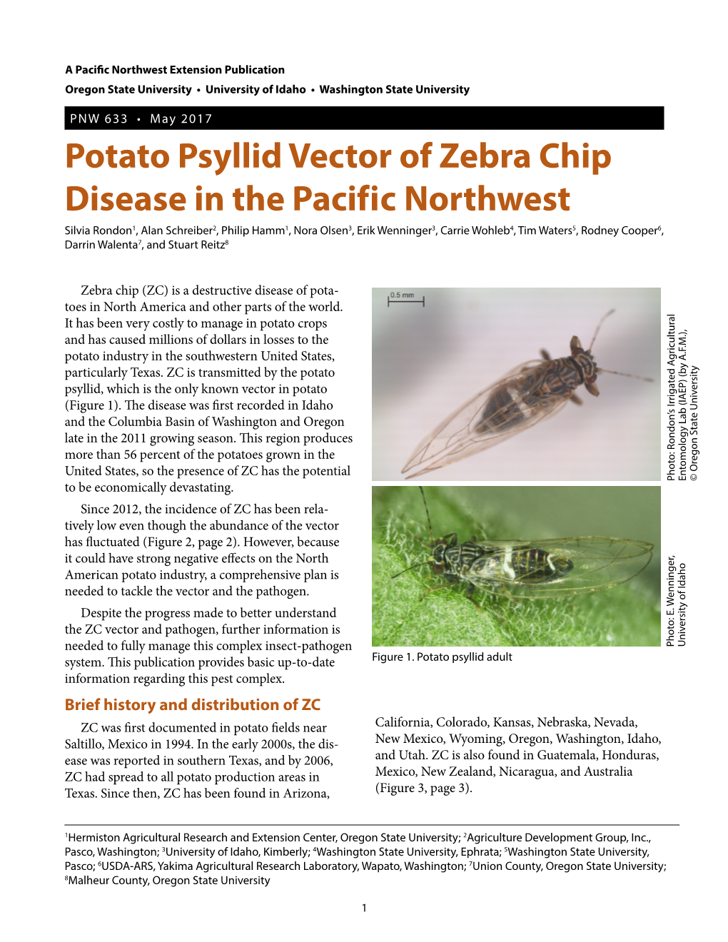 Potato Psyllid Vector of Zebra Chip Disease in the Pacific Northwest